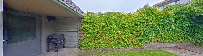 Achtertuin