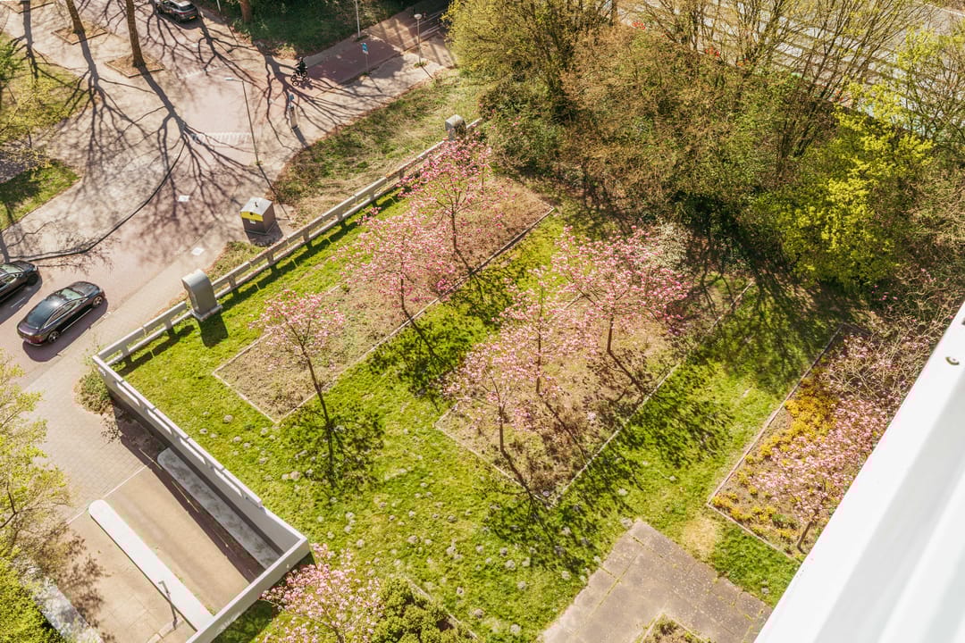 Foto 22 van Nachtwachtlaan 488