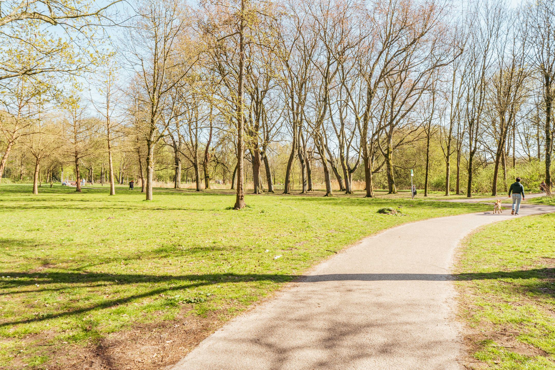 Foto 36 van Nachtwachtlaan 488