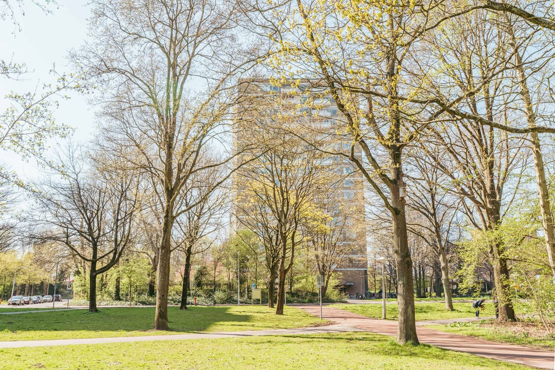 Foto 37 van Nachtwachtlaan 488