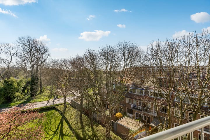 Foto 5 van Vechtplantsoen 20-3