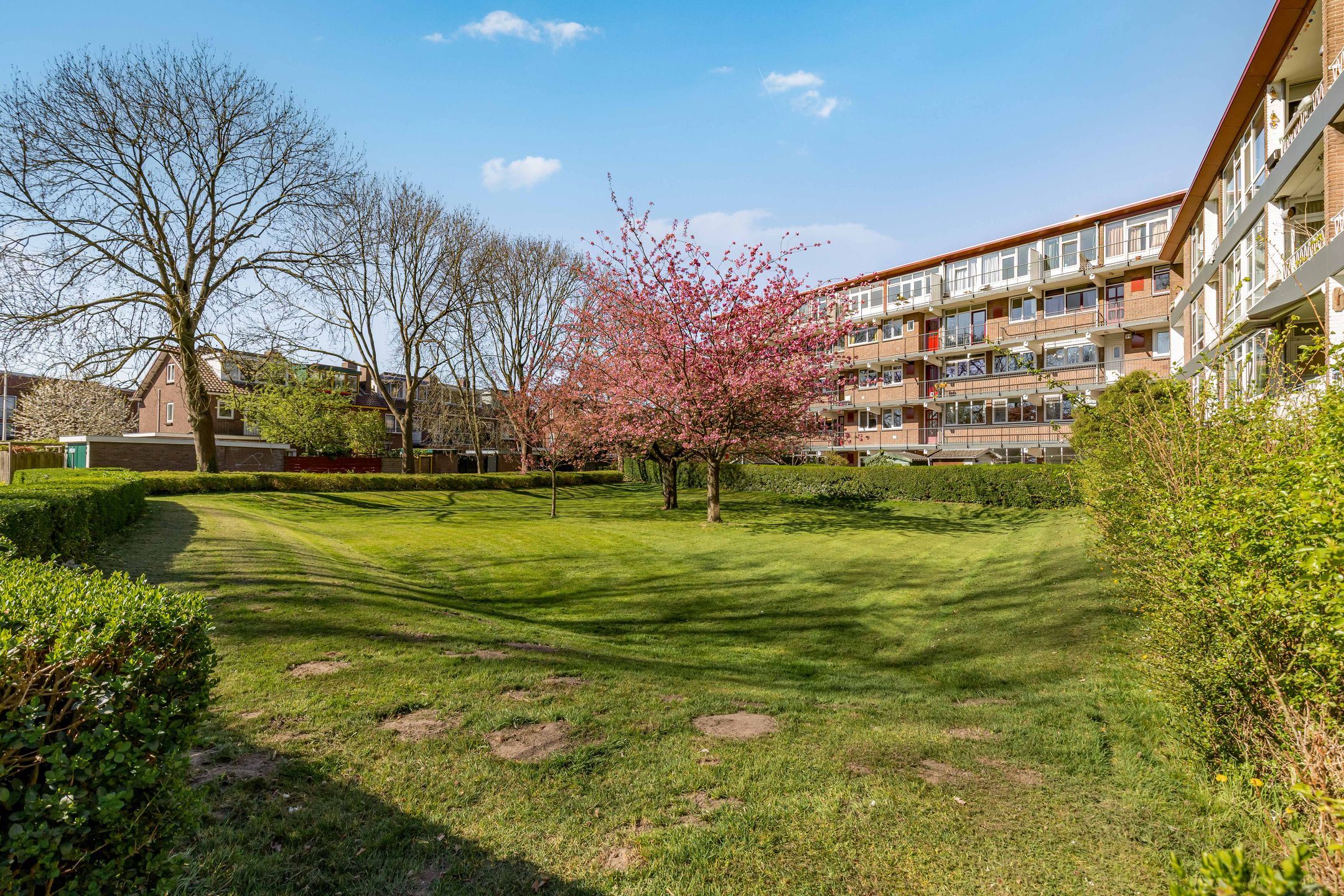 Foto 21 van Vechtplantsoen 20-3