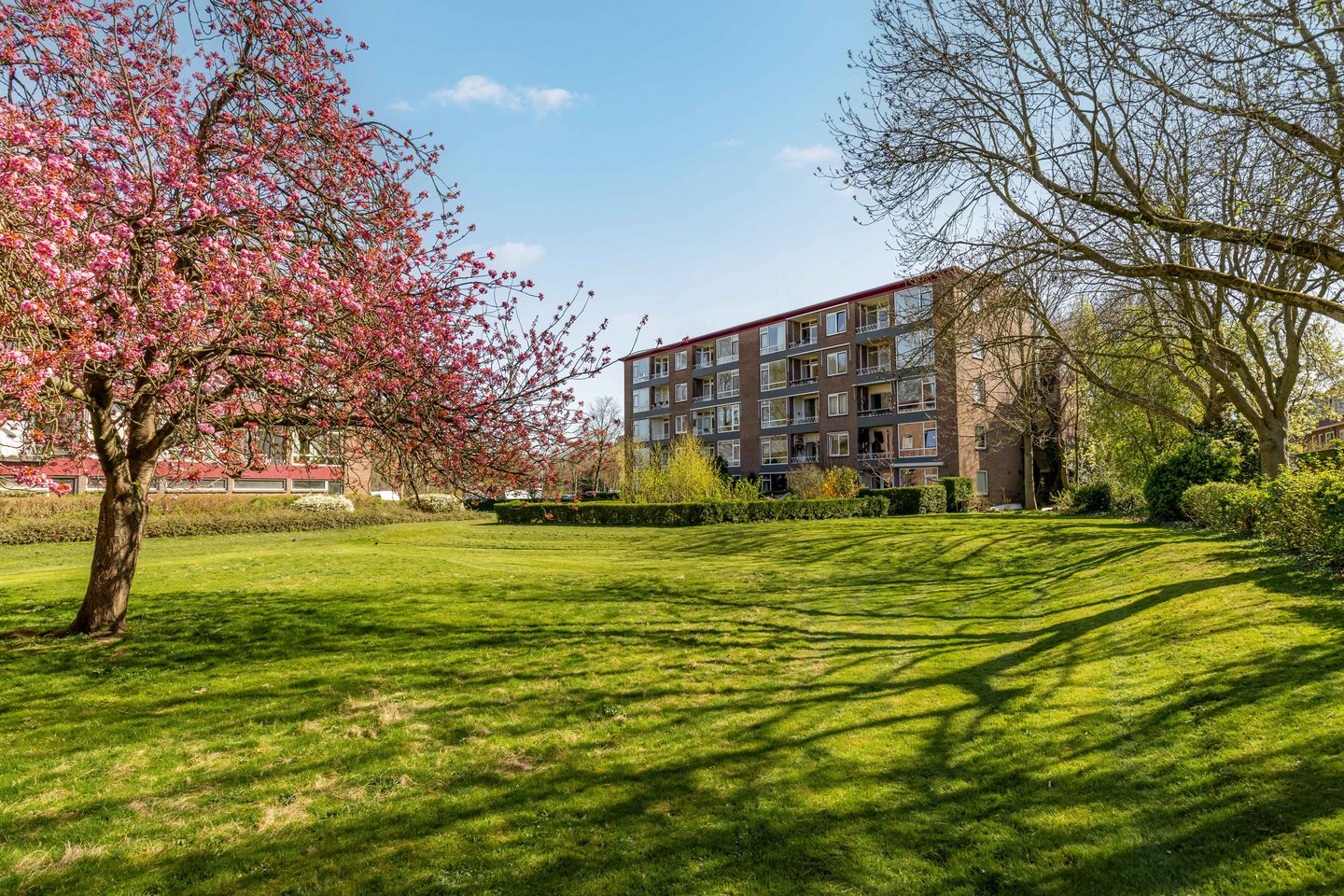 Foto 40 van Vechtplantsoen 20-3