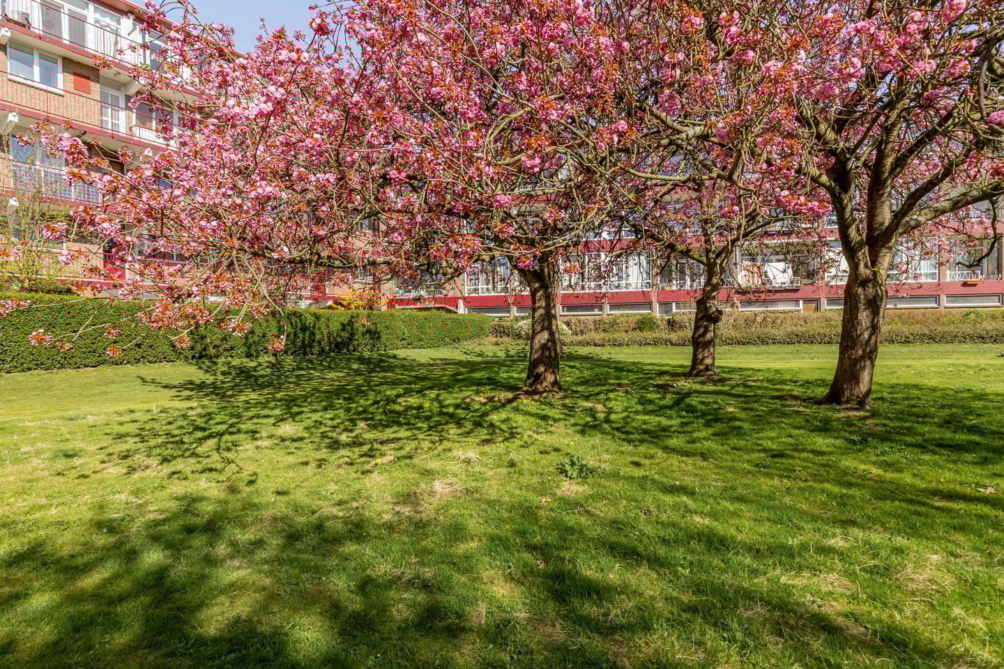 Foto 44 van Vechtplantsoen 20-3