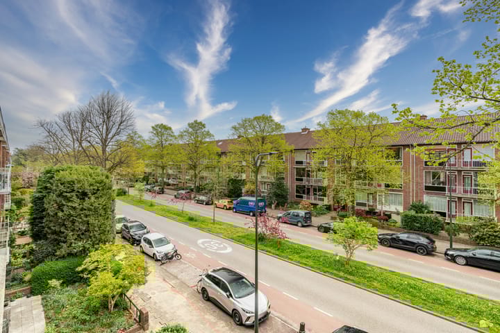 Foto 22 van Burggravenlaan 233