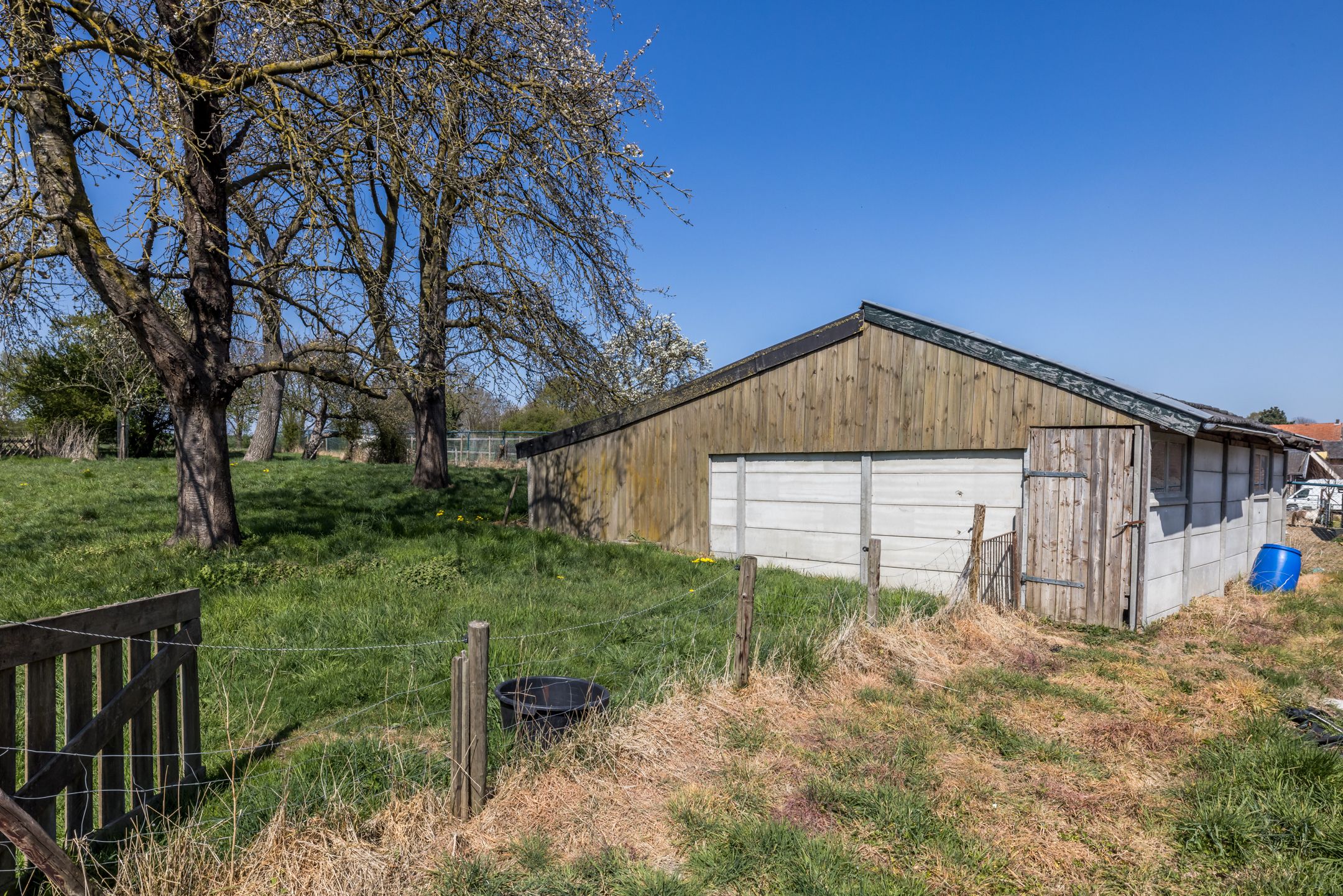 Foto 33 van Titus Brandsmastraat 5