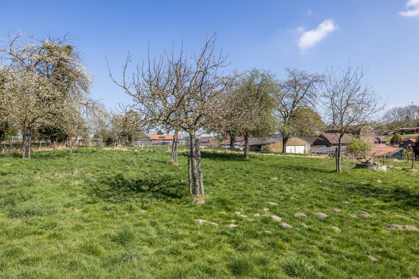 Foto 34 van Titus Brandsmastraat 5