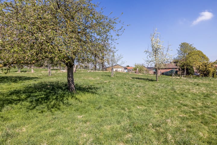 Foto 36 van Titus Brandsmastraat 5