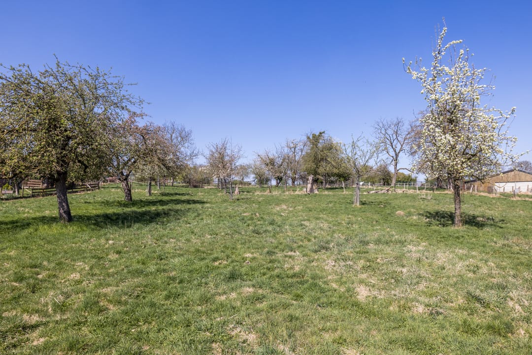 Foto 37 van Titus Brandsmastraat 5