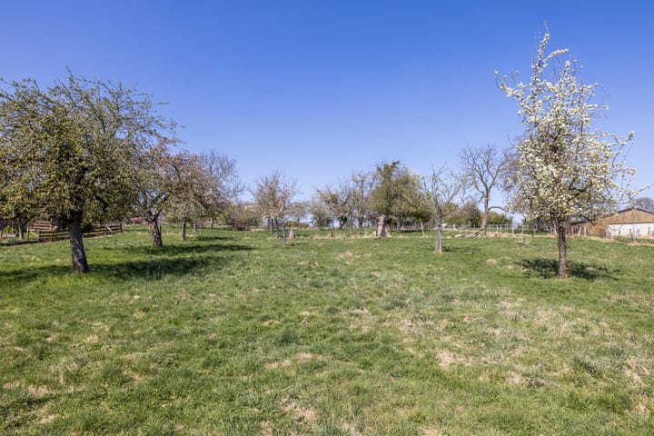 Foto 37 van Titus Brandsmastraat 5