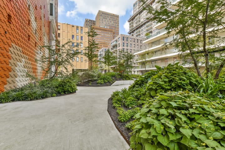 Foto 23 van Rosy Wertheimstraat 69