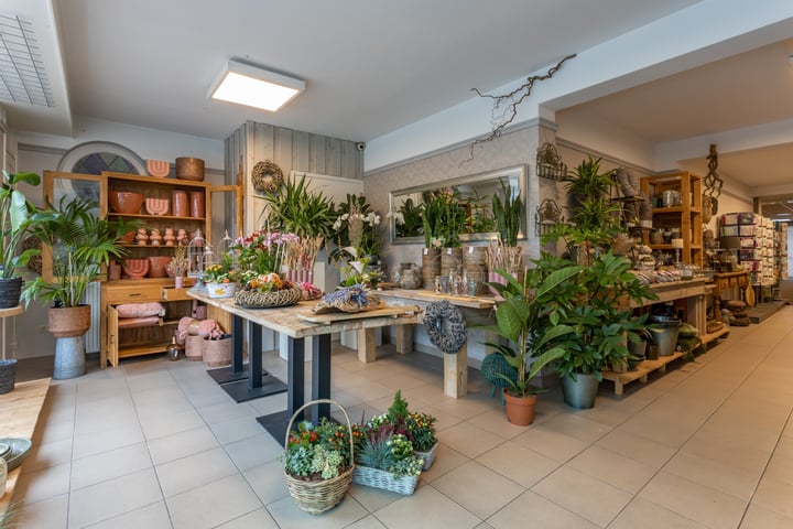 Photo 3 of Kreijerstraat 6