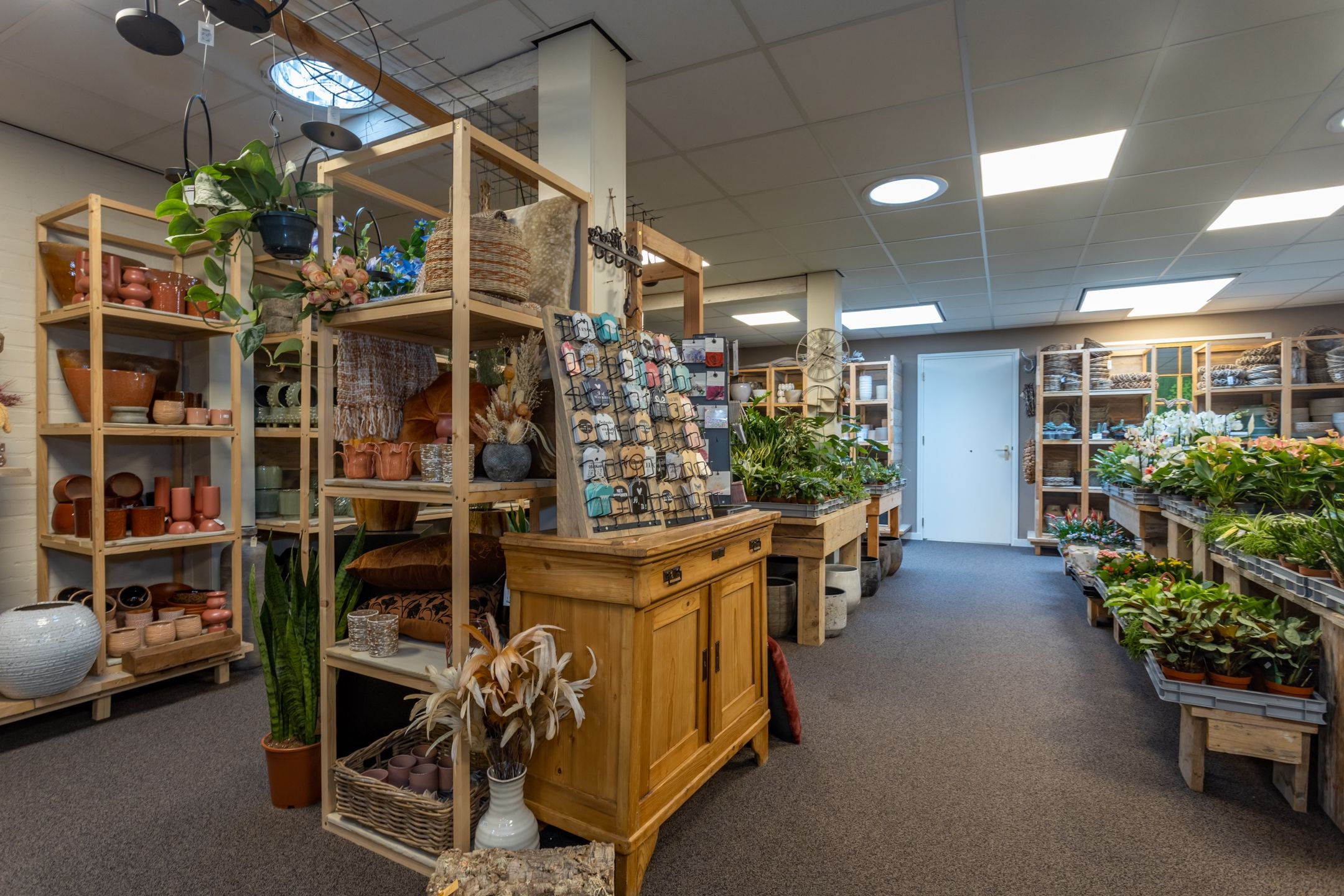 Photo 6 of Kreijerstraat 6