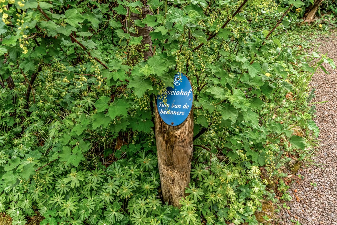 Foto 37 van Frederik van Eedenlaan 14