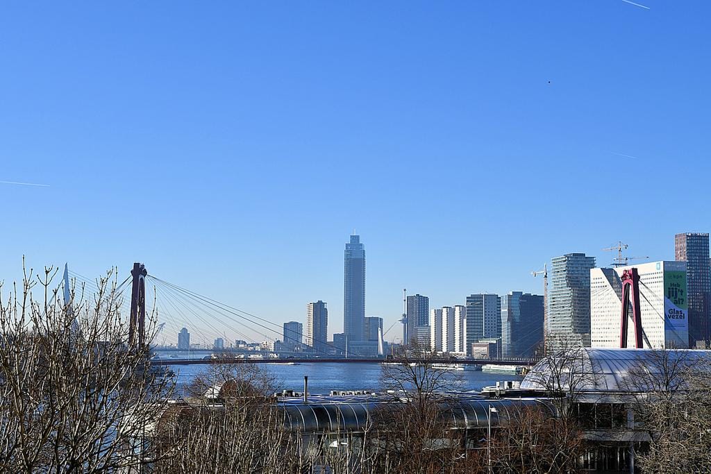 Foto 5 van 's-Lands werf 36