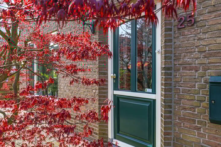 Photo 6 of Koningin Julianastraat 25