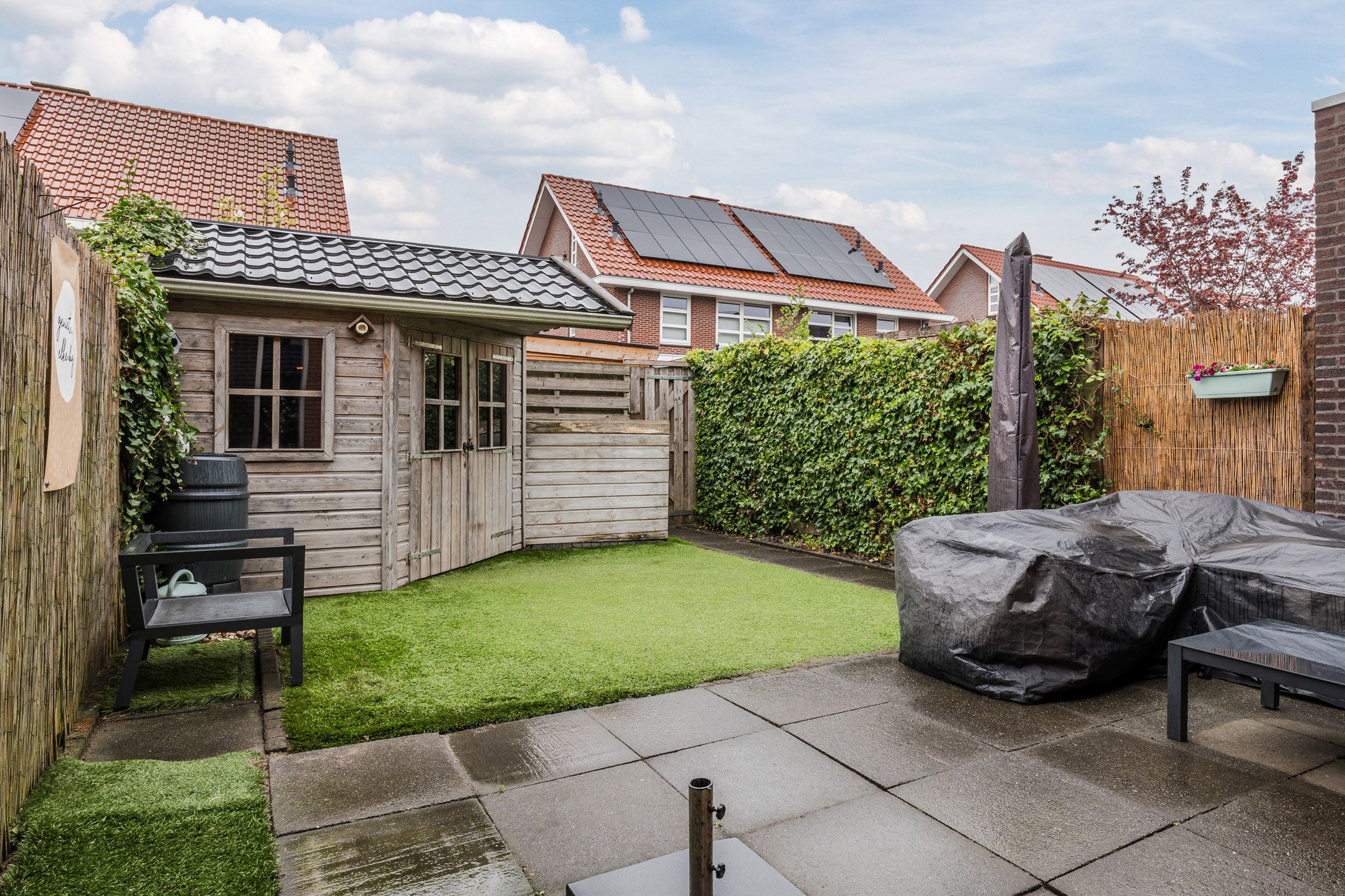 Foto 3 van Fonteinkruid 36