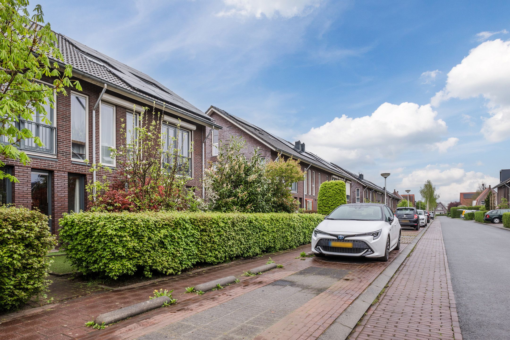 Foto 24 van Fonteinkruid 36