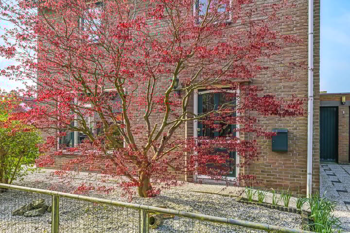 Photo 64 of Koningin Julianastraat 25