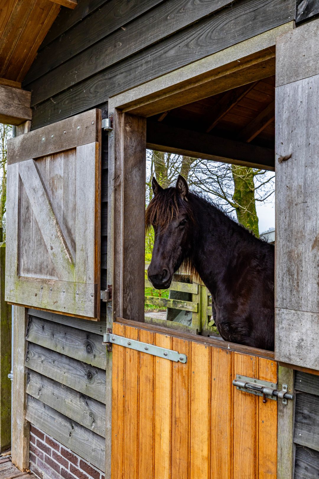Photo 53 of Hoofdweg 48
