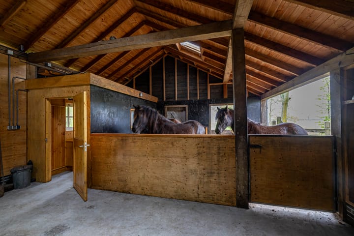 Foto 61 van Hoofdweg 48