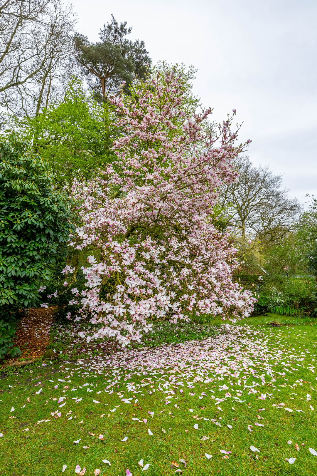 Photo 68 of Hoofdweg 48