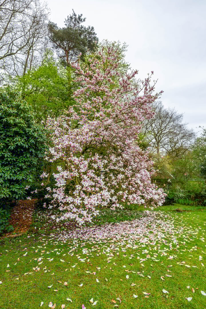 Foto 68 van Hoofdweg 48