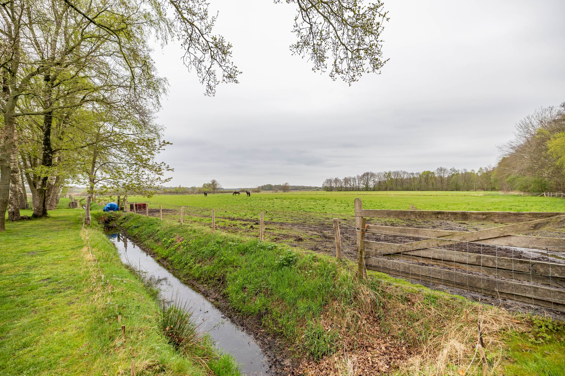 Photo 69 of Hoofdweg 48