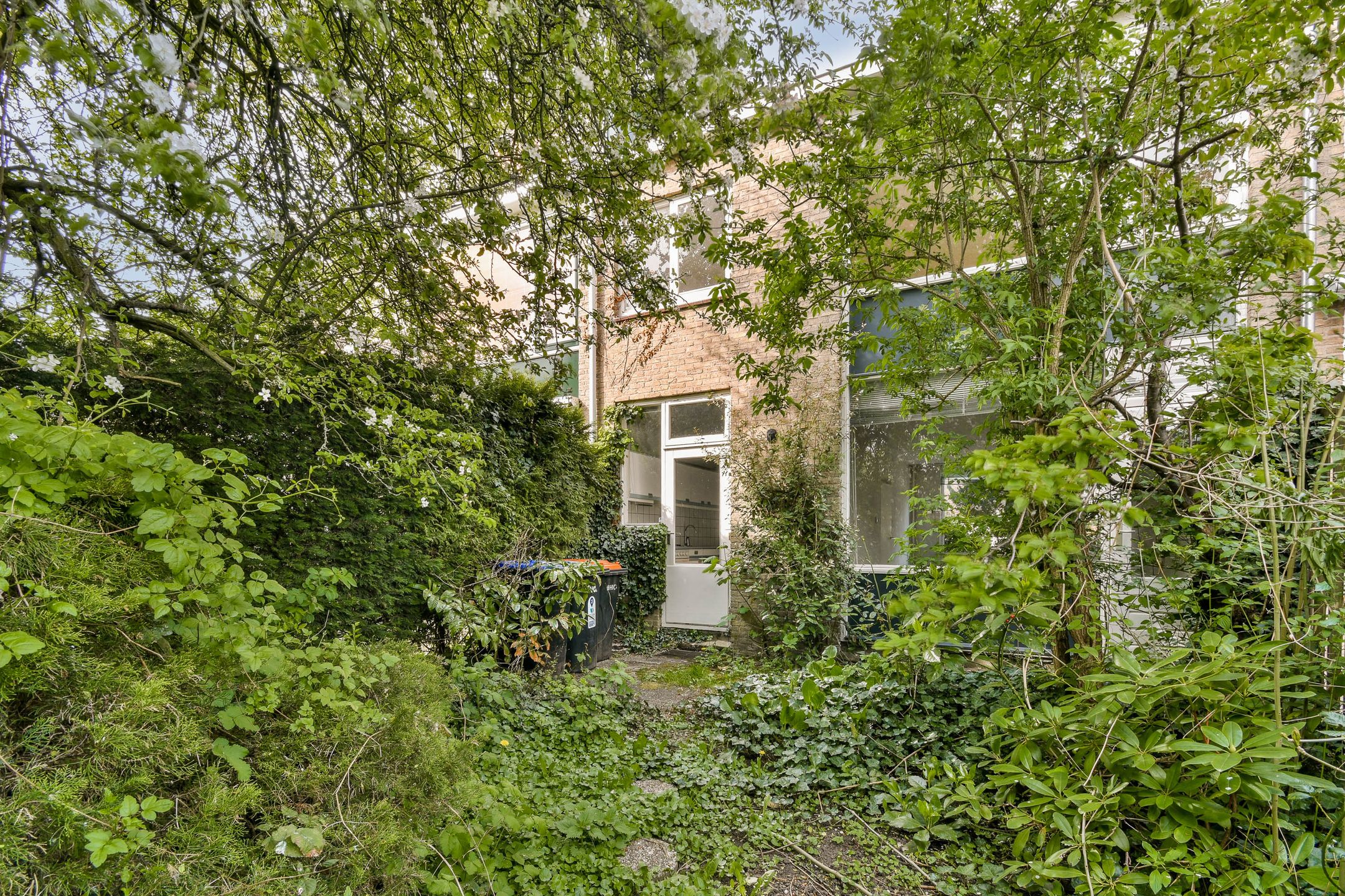 Foto 12 van Spechtstraat 40