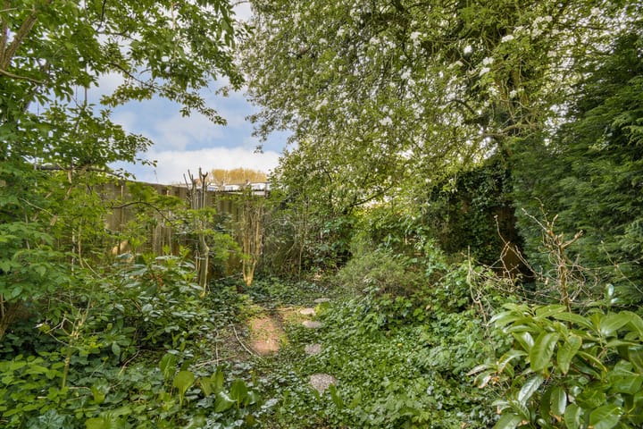 Foto 13 van Spechtstraat 40