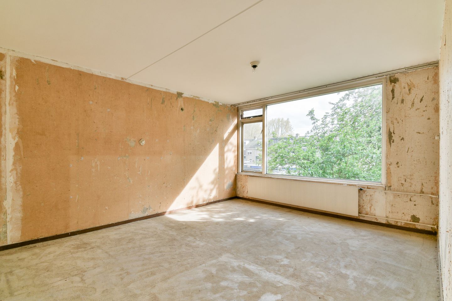 Foto 19 van Spechtstraat 40