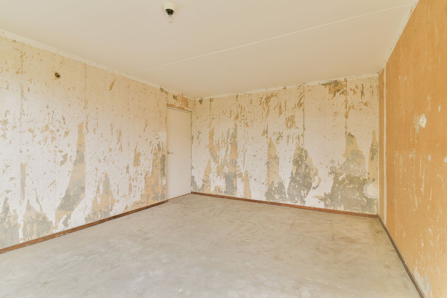 Foto 20 van Spechtstraat 40