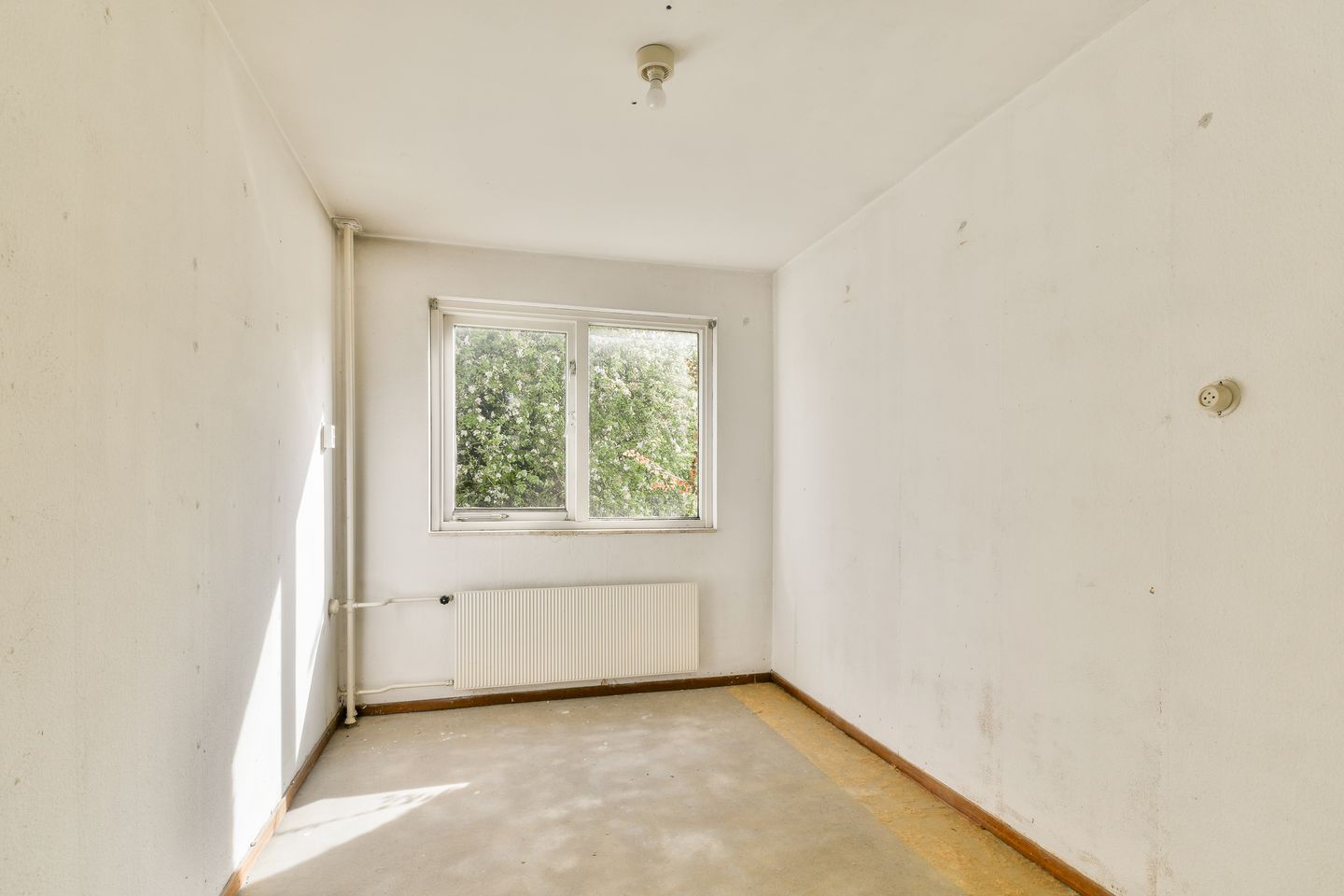 Foto 25 van Spechtstraat 40