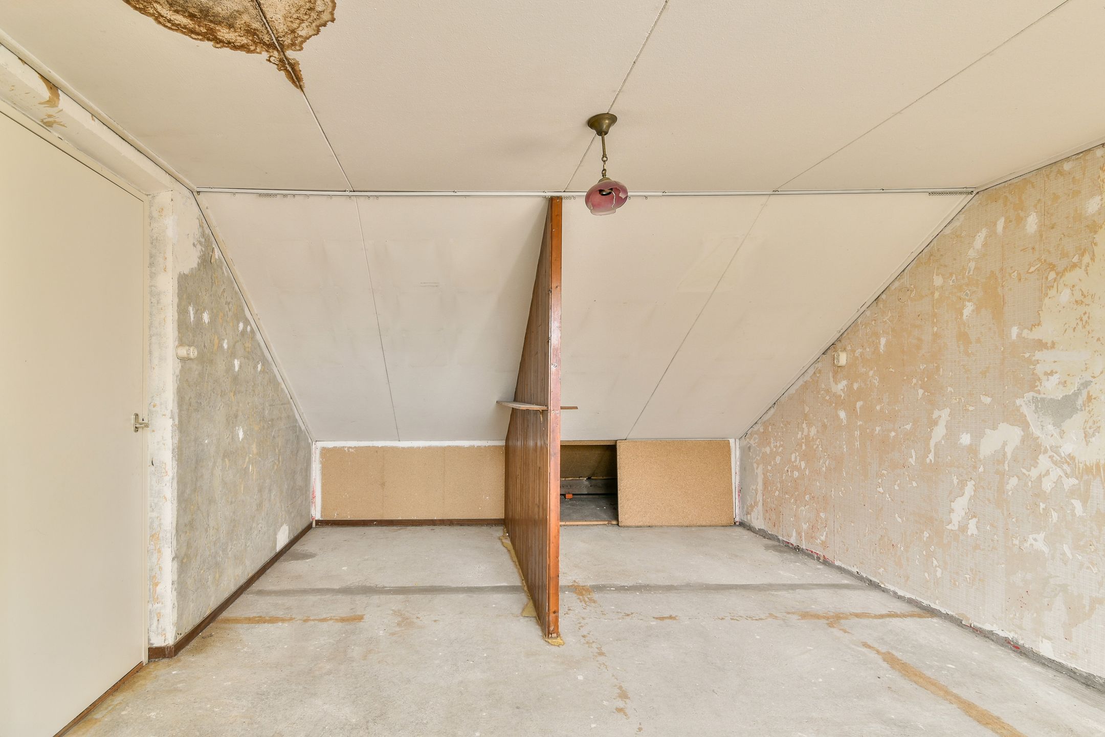 Foto 30 van Spechtstraat 40