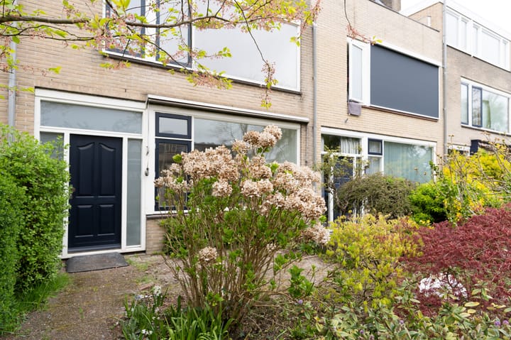 Foto 5 van Kotter 42