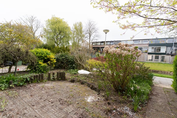 Foto 6 van Kotter 42