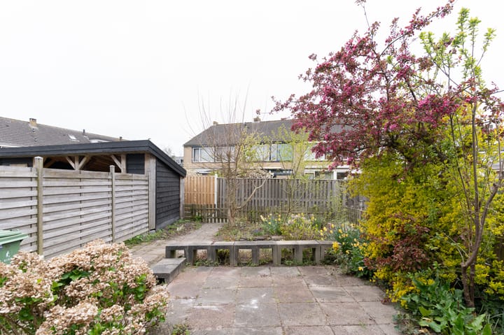 Foto 20 van Kotter 42