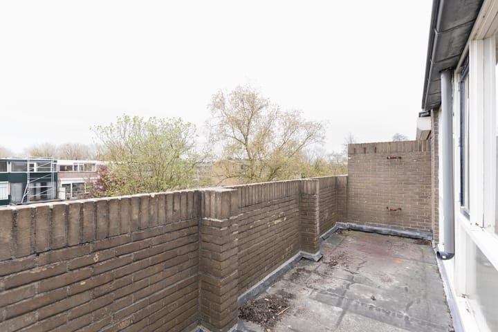 Foto 41 van Kotter 42