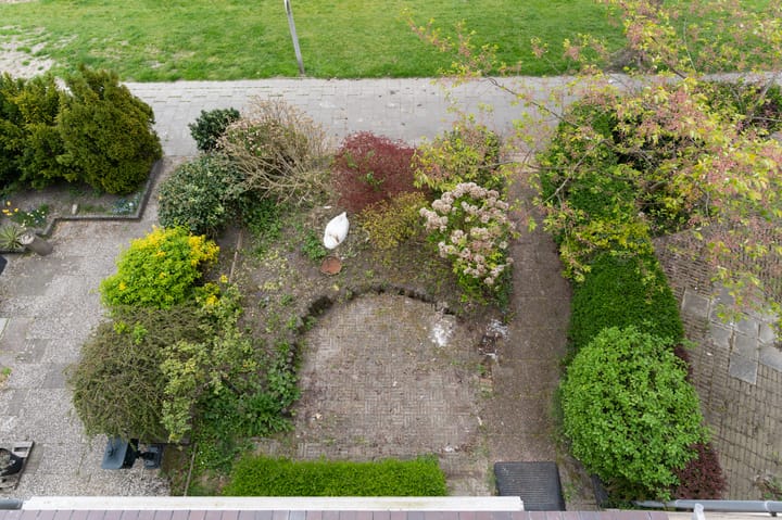 Foto 43 van Kotter 42