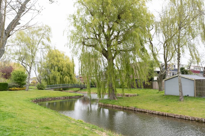 Foto 45 van Kotter 42