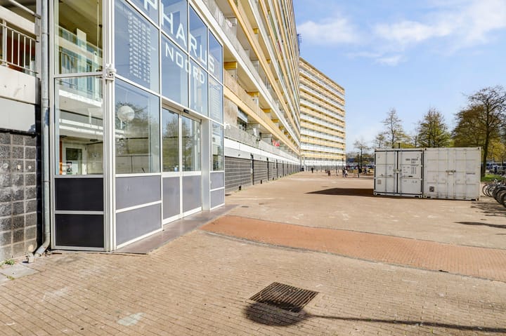 Photo 8 of Pharus 274