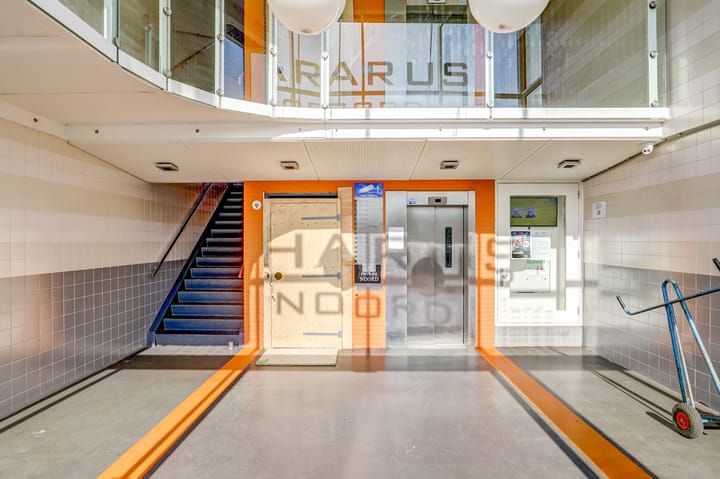 Photo 9 of Pharus 274