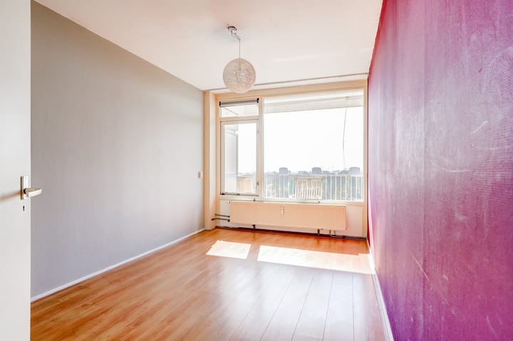 Photo 21 of Pharus 274