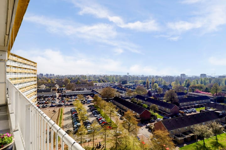 Photo 35 of Pharus 274