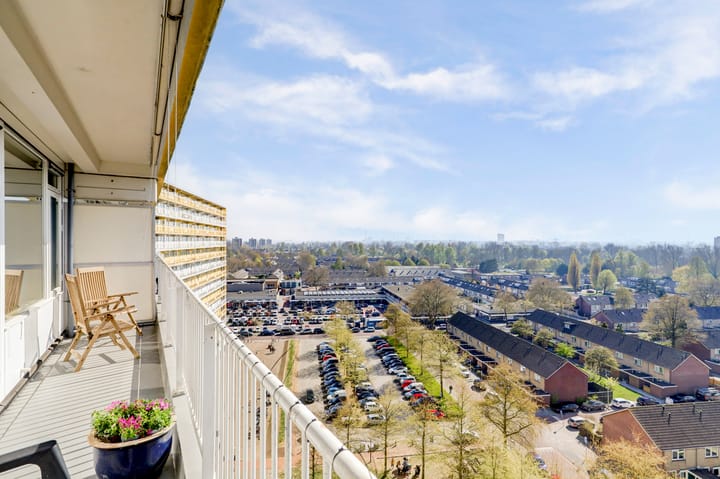 Photo 36 of Pharus 274