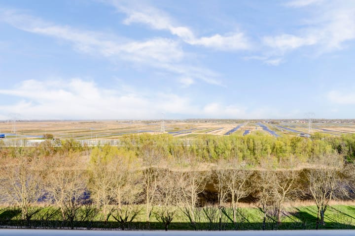 Photo 40 of Pharus 274