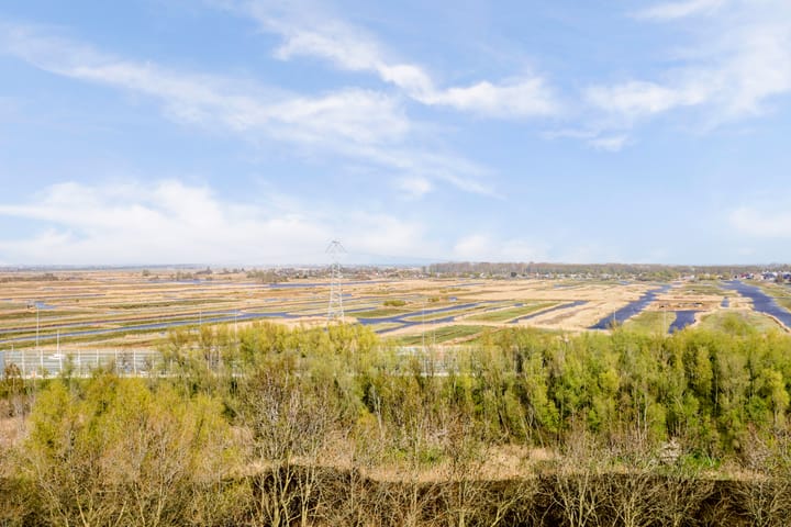 Photo 41 of Pharus 274