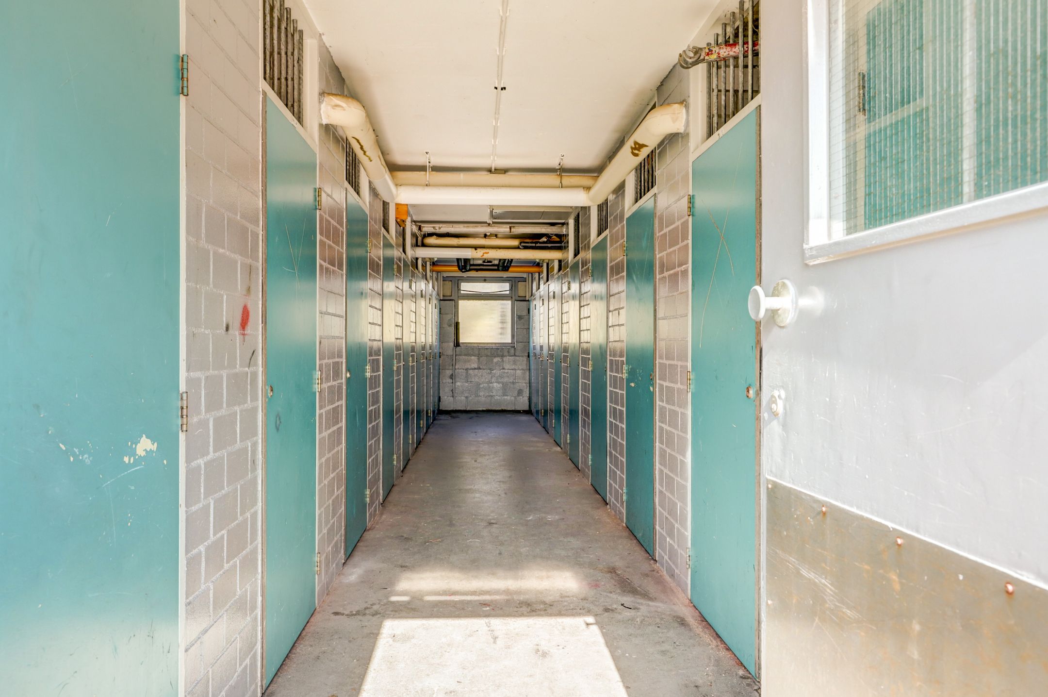 Foto 42 van Pharus 274