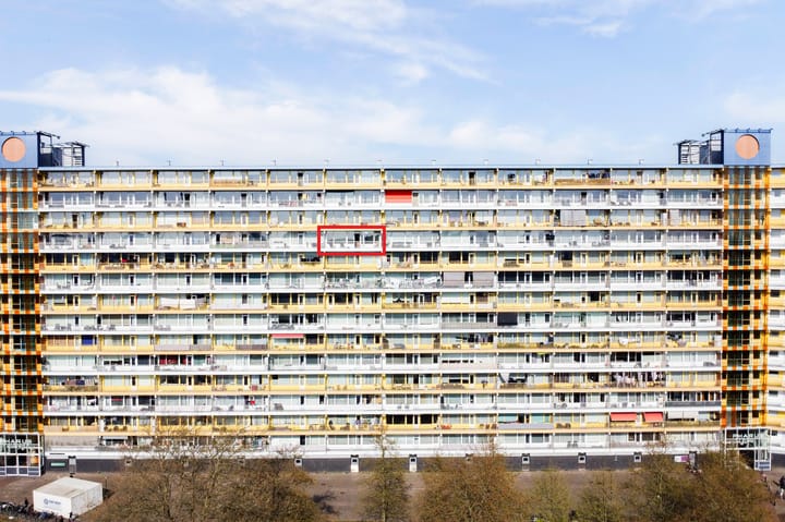 Photo 48 of Pharus 274