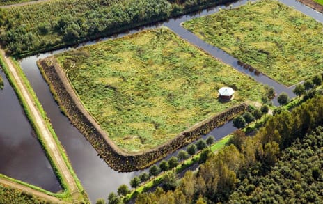 Barkelazathe 4 secondary image